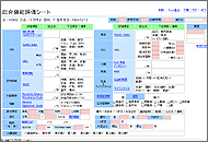 CGA総合機能評価システム画像01